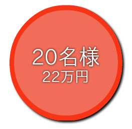 20名22万プラン